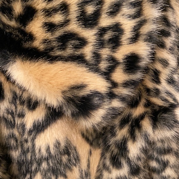 SHRIMPS - Picture 3 of 7